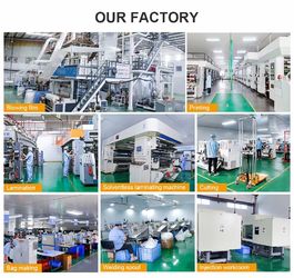 中国 DONGGUAN SEALAND PACKAGING BAG CO., LTD 工場
